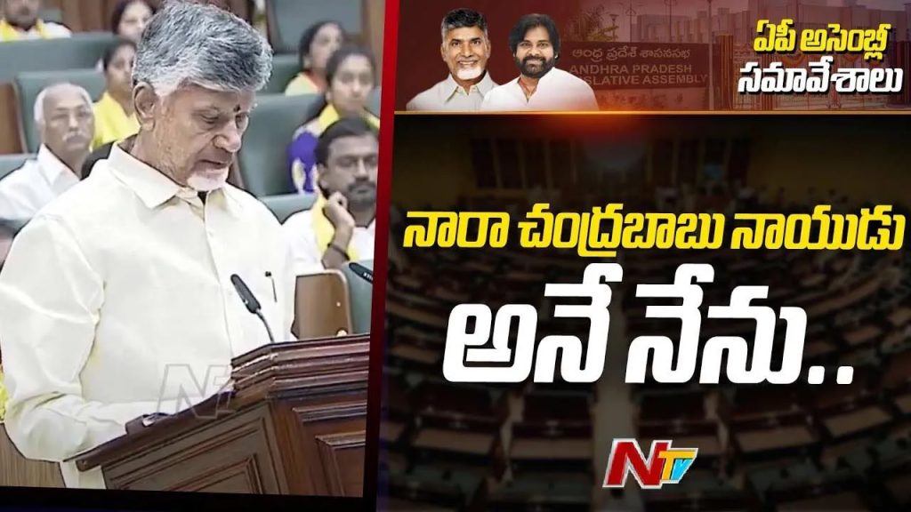 ఎమ్మెల్యేలుగా చంద్రబాబు, పవన్‌ కల్యాణ్‌ ప్రమాణస్వీకారం