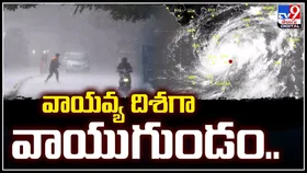 వాయవ్య దిశగా వాయుగుండం.! తెలంగాణకు తేలికపాటి నుంచి మోస్తరు వర్ష సూచన